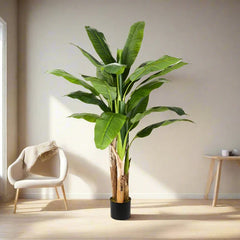 Collection image for: Artificial Plants