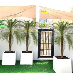 Collection image for: Zen Garden