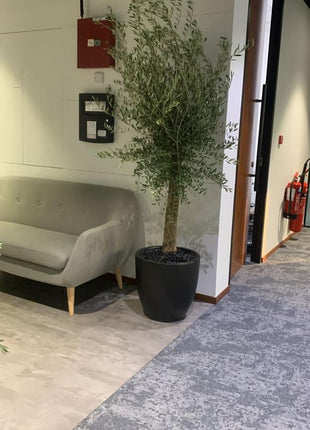 Big Olive in Black Matte PROMO