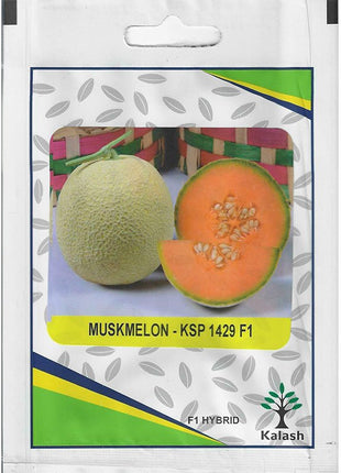 Kalash Muskmelon KSP 1429 F1 Hybrid Premium Quality Seeds
