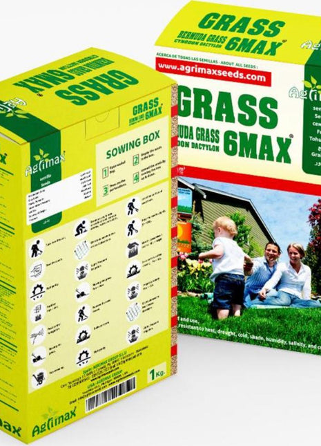 Bermuda Grass 6Max Seeds &#8220;Cynodon Dactylon&#8221; 1kg