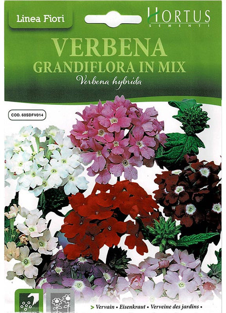 Vervain Mix &#8220;Verbena Grandiflora In Mix&#8221; Premium Quality Seeds by Hortus