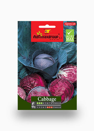 Red Cabbage Agrimax seeds