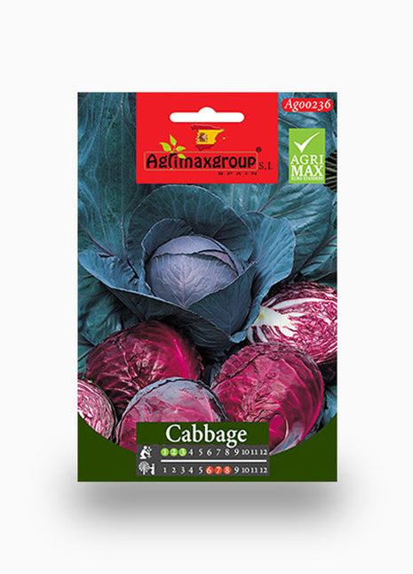 Red Cabbage Agrimax seeds