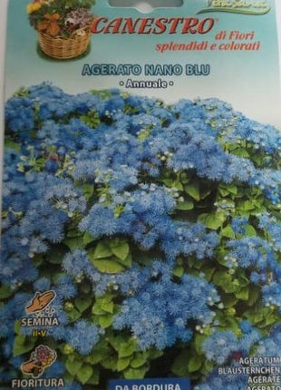 Agerato Nano Blu Seed by CANESTRO