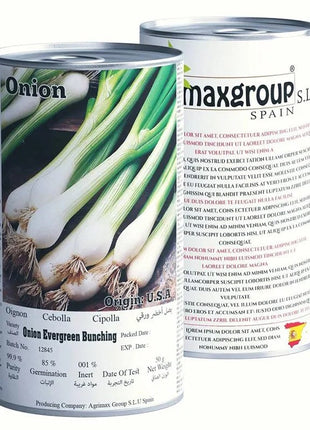 Agrimax Onion Evergreen Bunching Premium Quality Seeds Tin (Made in Spain)
