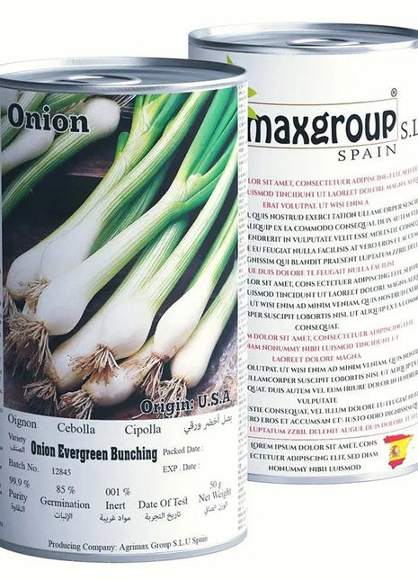 Agrimax Onion Evergreen Bunching Premium Quality Seeds Tin (Made in Spain)