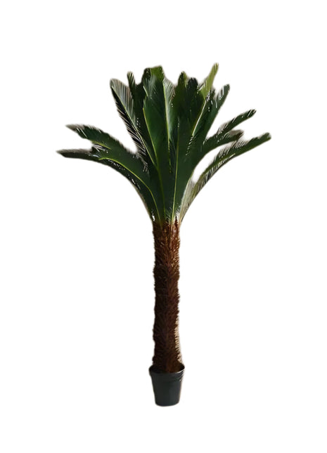 Artificial Cycas (2 m)