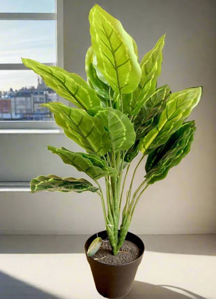 Artificial Calathea 50cm