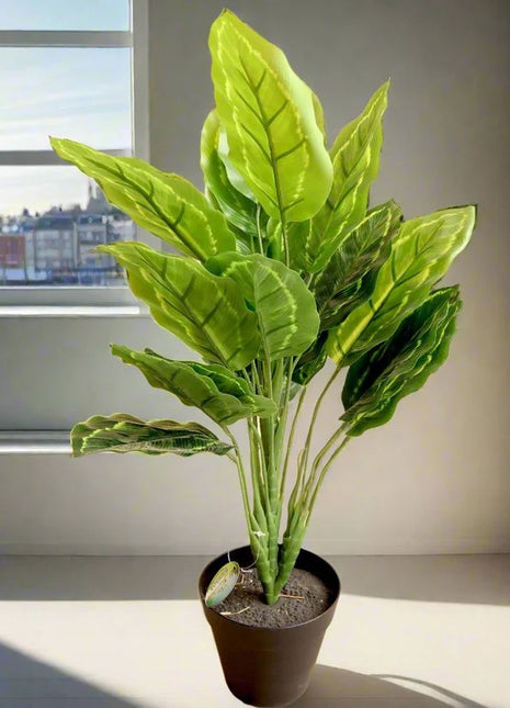 Artificial Calathea 50cm