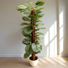 Artificial Calathea Orbifolia 130cm