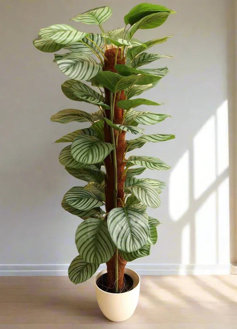 Artificial Calathea Orbifolia 130cm