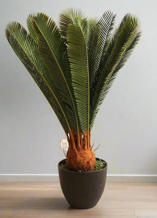 Artificial Cycas 65cm