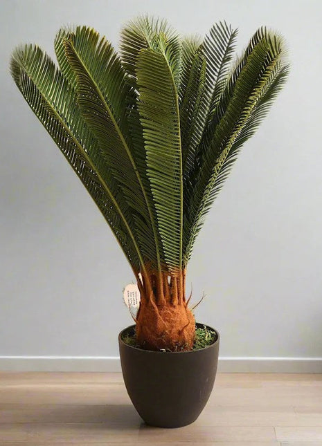 Artificial Cycas 65cm