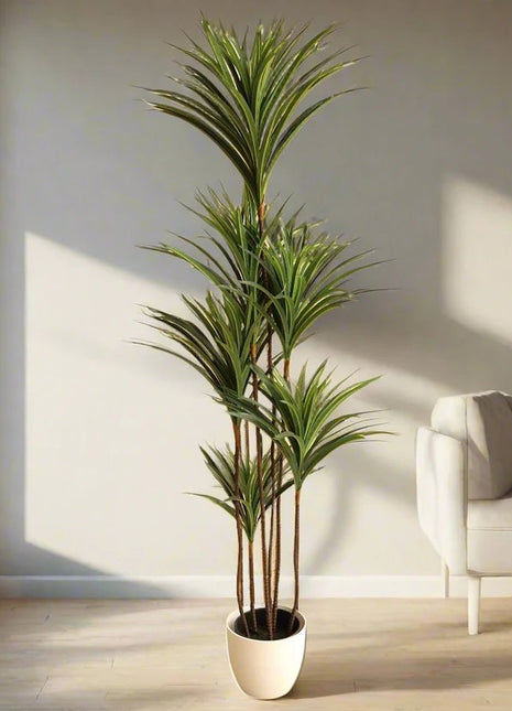 Artificial Dracaena Marginata 150cm