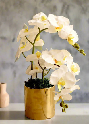 Artificial White Orchids 50cm