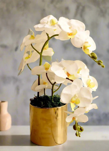 Artificial White Orchids 50cm