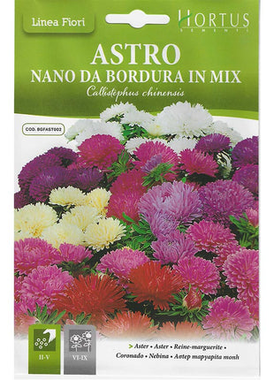 Aster Mix &#8220;Astro Nano Da Bordura In Mix&#8221; Premium Quality Seeds by Hortus Sementi