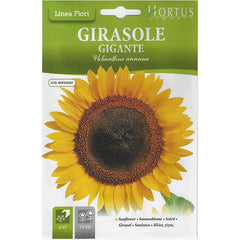 Sunflower &#8220;Girasole Gigante&#8221; Premium Quality Seeds by Hortus