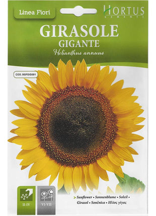 Sunflower &#8220;Girasole Gigante&#8221; Premium Quality Seeds by Hortus