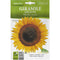 Sunflower &#8220;Girasole Gigante&#8221; Premium Quality Seeds by Hortus