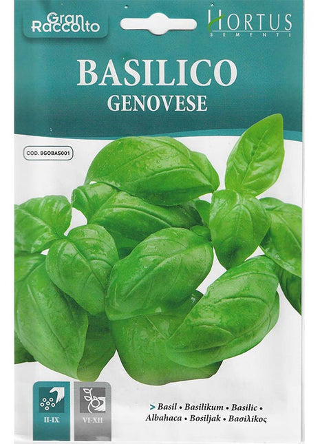 Basil &#8220;Basilico Genovese&#8221; Seeds by Hortus