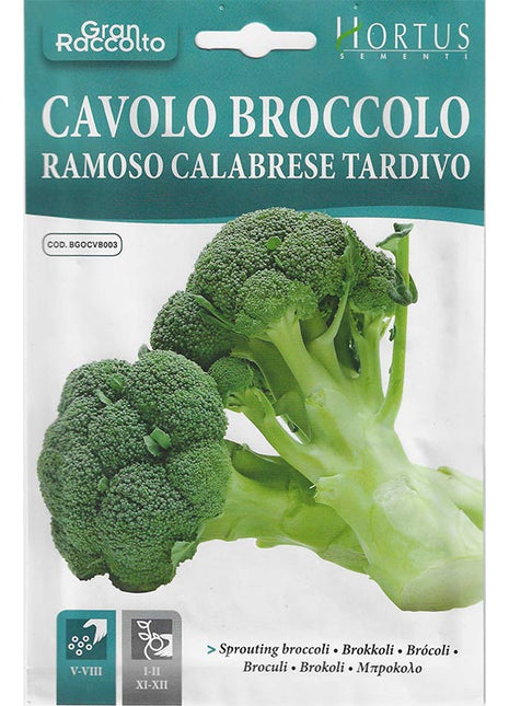 Broccoli &#8220;Cavolo Broccolo Ramoso Calabrese Tardivo&#8221; Seeds by Hortus