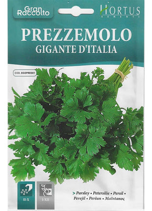 Parsley &#8220;Prezzemolo Gigante D’ Italia&#8221; Seeds by Hortus