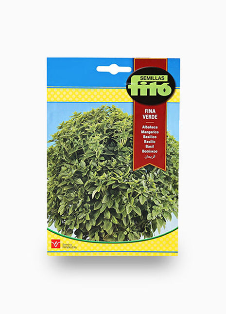 Basil Fine Leafed &#8211; Fito