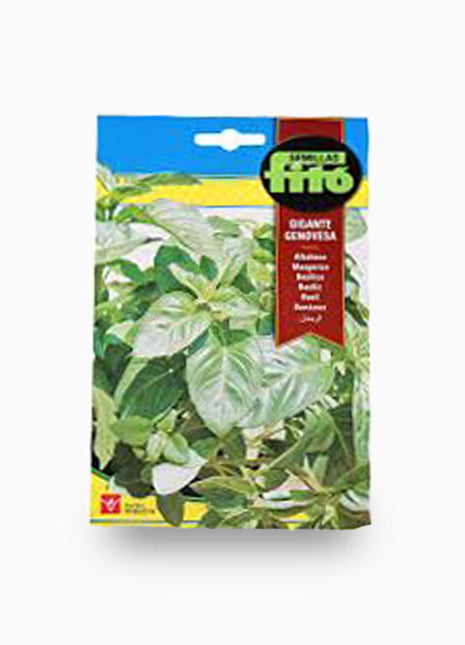 Basil Genovesa Giant 3g &#8211; Fito