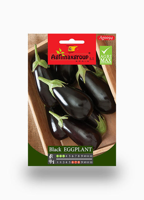 Black Eggplant Agrimax Seeds