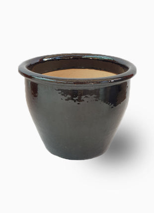 https://i0.wp.com/www.greensouq.ae/wp-content/uploads/2024/10/Black-Rolled-Rim-Pot.jpg