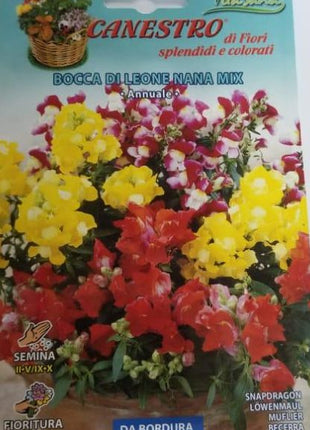 Bocca Di Leone Nana Mix Seed by CANESTRO