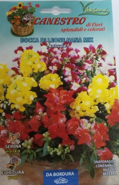 Bocca Di Leone Nana Mix Seed by CANESTRO