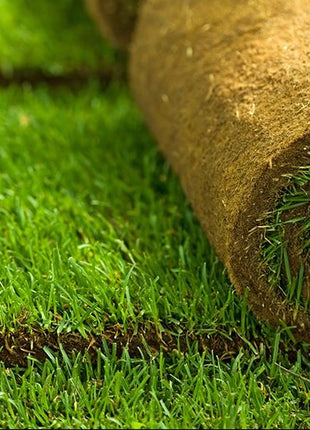 https://i0.wp.com/www.greensouq.ae/wp-content/uploads/2023/02/Buying-Bermuda-Sod-For-Your-Lawn-e1676551051989.jpg?fit=582%2C534&ssl=1