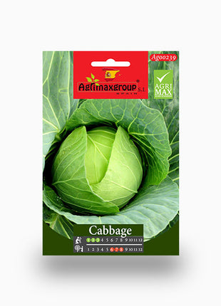 Cabbage Agrimax Seeds