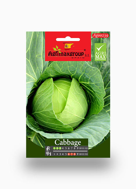 Cabbage Agrimax Seeds