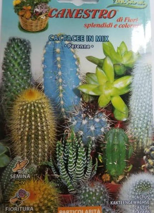 Cactacee In Mix Seeds by CANESTRO