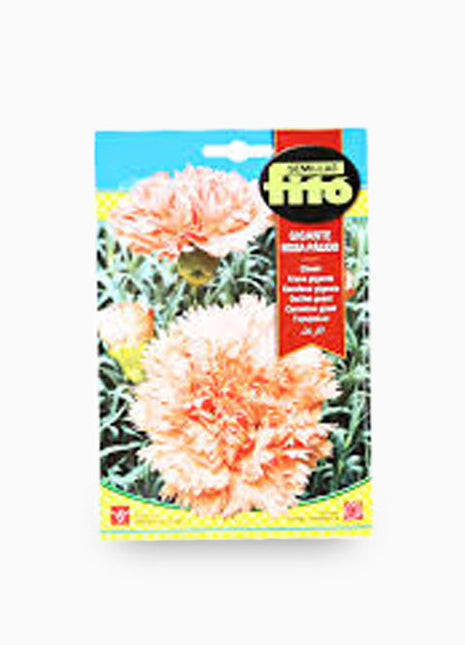 Carnation Giant Pink 800mg &#8211; Fito