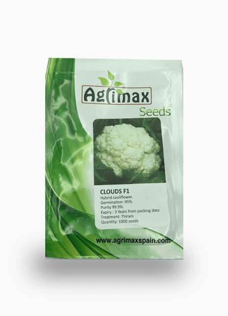 Cauliflower Clouds F1 Premium Seeds