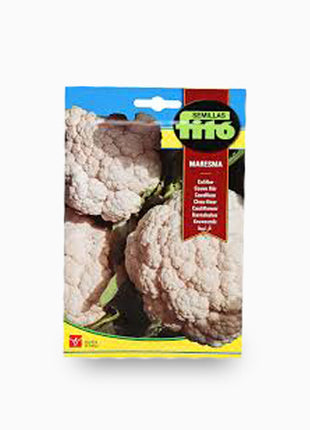 Cauliflower Maresma 4g &#8211; Fito