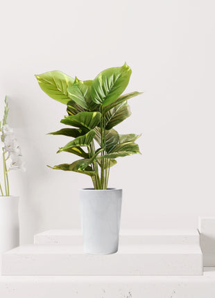 Artificial Calathea Green 50cm