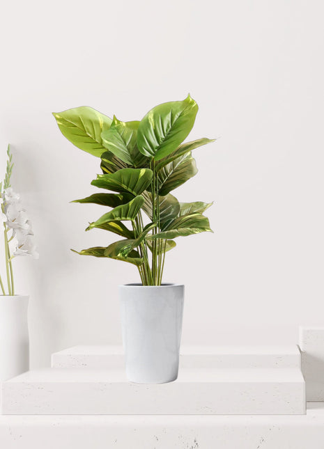 Artificial Calathea Green 50cm