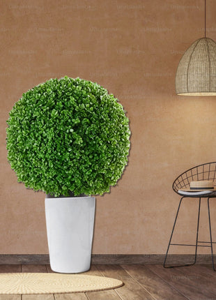 Artificial Buxus Ball Shape (35cm Dia)