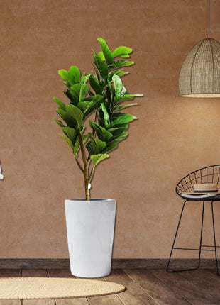 Artificial Ficus lyrata or Fiddle Leaf Fig Tree 1.5m