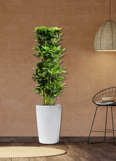 Artificial Schefflera arboricola &#8220;Green&#8221; 120cm