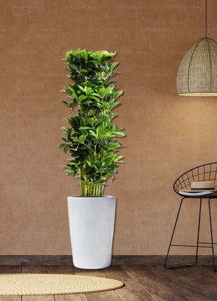 Artificial Schefflera arboricola &#8220;Green&#8221; 120cm