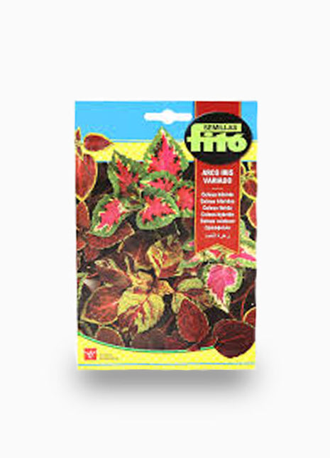 Coleus Rainbow Mix 400mg &#8211; Fito