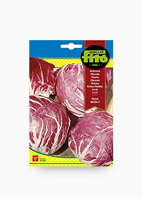 Fito Corn Salad Big Grain