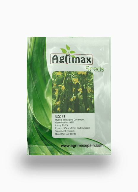 Cucumber Ezz F1 Premium Quality Seeds